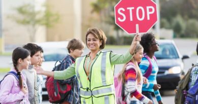 diferencia entre cultura vial y educación vial